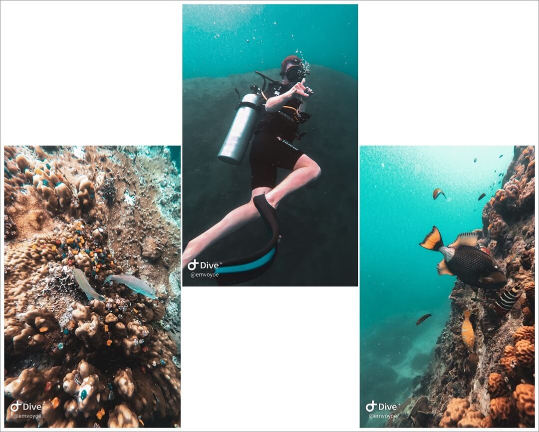 Unterwasser Aufnahmen vom Tauchen auf Koh Tao mit GoPro Hero 7 black